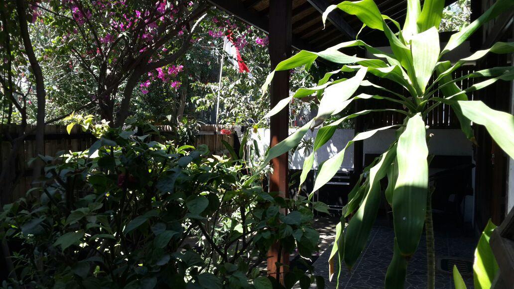 Dili Gili Bed & Breakfast Gili Trawangan Luaran gambar